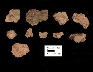 Mockley Body sherds from Ashcomb's Quarter and Awapantop, 18CV362.